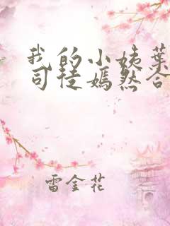 我的小姨叶凡和司徒嫣然合二为一是哪个章节