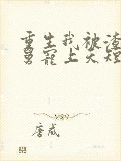 重生我被渣男舅舅宠上天短剧