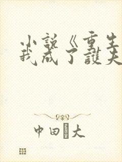 小说《重生后,我成了护夫狂魔》