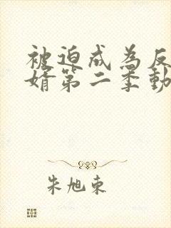 被迫成为反派赘婿第二季动漫全集