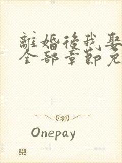 离婚后我娶了岳全部章节免费阅读