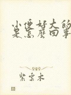 小便好大的骚味是怎么回事