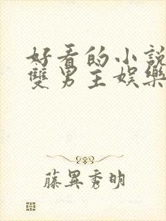 好看的小说推荐双男主娱乐圈