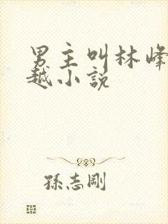 男主叫林峰的穿越小说