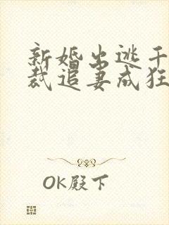 新婚出逃千亿总裁追妻成狂免费阅读