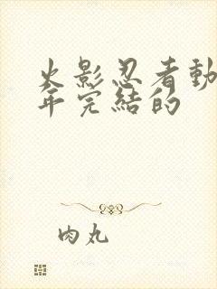 火影忍者动漫哪年完结的