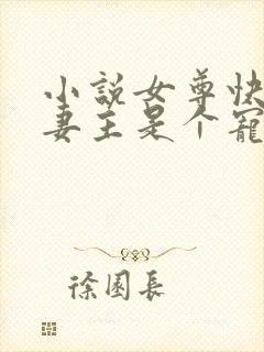 小说女尊快穿之妻主是个宠夫狂