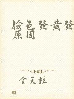 脸色发黄发暗的原因