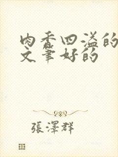 肉香四溢的小说文笔好的