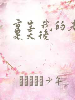 重生 我的老婆是天后