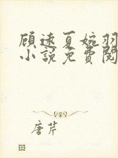 顾远夏婉羽林军小说免费阅读笔趣阁