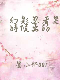 幻影忍者是什么时候出的