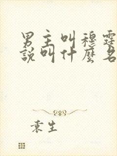 男主叫穆霆琛小说叫什么名字