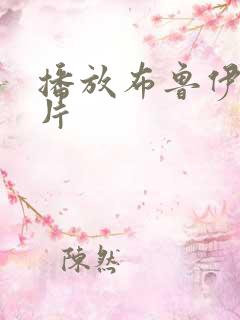 播放布鲁伊动画片