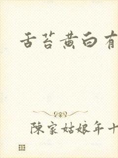 舌苔黄白有齿痕