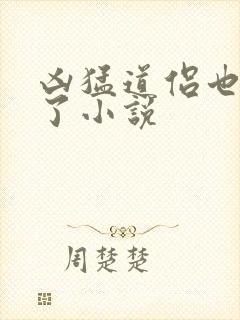 凶猛道侣也重生了小说