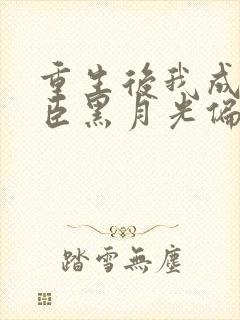 重生后我成了权臣黑月光偏方方