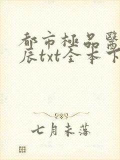 都市极品医神叶辰txt全本下载