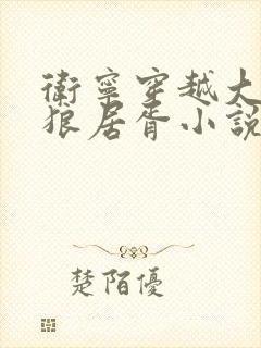 卫宁穿越大汉封狼居胥小说