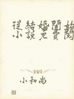 从结婚开始恋爱小说免费阅读