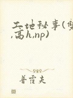 工地秘事(双性,高h,np)