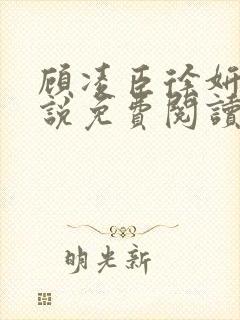 顾凌臣徐妍笙小说免费阅读最新章节