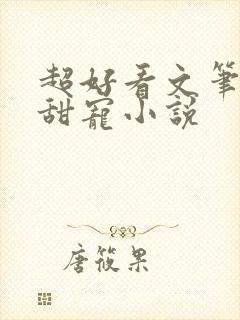 超好看文笔好的甜宠小说