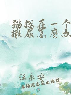 猫总在一个地方撒尿怎么办