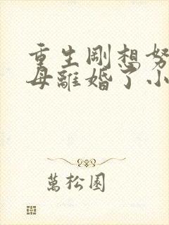 重生刚想努力父母离婚了小说免费阅读