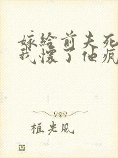 嫁给前夫死对头我怀了他疯了免费阅读