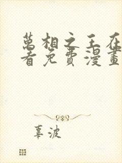 万相之王在线观看免费漫画