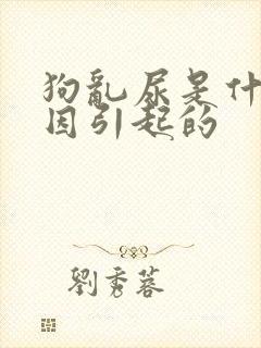 狗乱尿是什么原因引起的