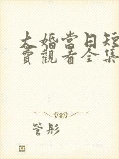 大婚当日短剧免费观看全集