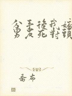 分手后我嫁给前男友死对头沈淮