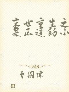 末世重生之宠妻是正道的小说