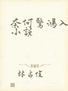 奈何惊鸿入我心小说