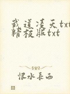 武道凌天txt精校版txt
