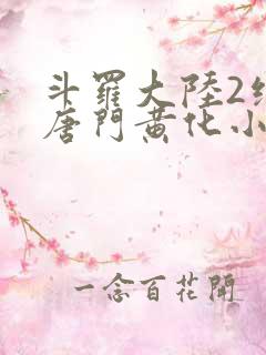 斗罗大陆2绝世唐门黄化小说
