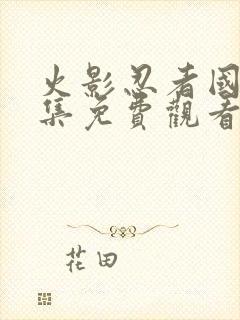 火影忍者国语全集免费观看