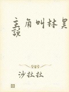 主角叫林昊的小说