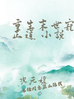 重生末世宠妻是正道 小说