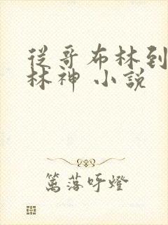 从哥布林到哥布林神 小说