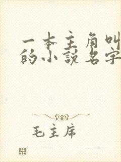 一本主角叫叶凡的小说名字是什么