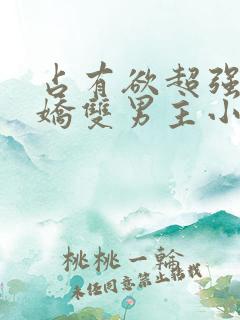 占有欲超强的病娇双男主小说