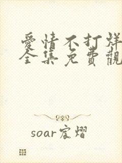 爱情不打烊短剧全集免费观看高清版