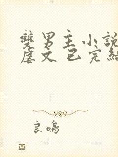 双男主小说推文虐文 已完结