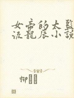 女帝的太监最风流龙辰小说txt