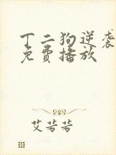 丁二狗逆袭人生免费播放