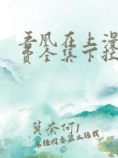 吾凰在上漫画免费全集下拉式漫画