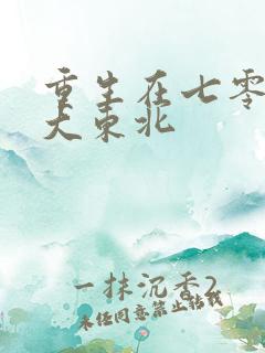 重生在七零年代大东北